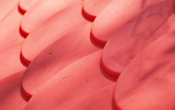 Bramshall plastic roof costs